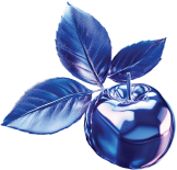 Djoy Pod Max: Blueberry Groove